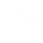 Advertising Campaigns